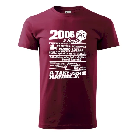 2006 v kostce