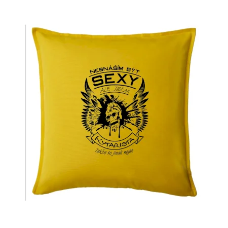 Nesnáším být sexy - kytarista