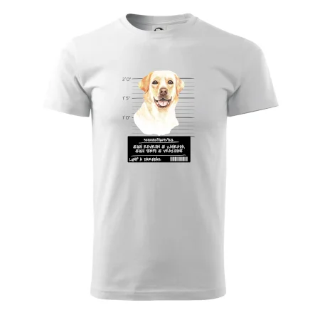 Lump a darebák labrador