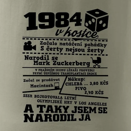 1984 v kostce