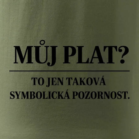 Můj plat? to jen taková symbolická pozornost