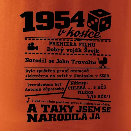 1954 v kostce