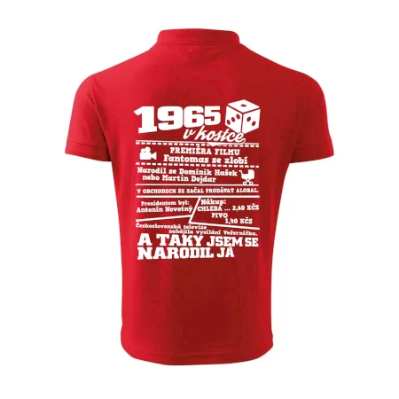 1965 v kostce