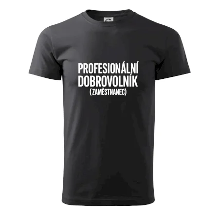 PROFESIONÁLNÍ DOBROVOLNÍK (zaměstnanec)
