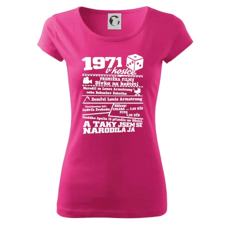 1971 v kostce