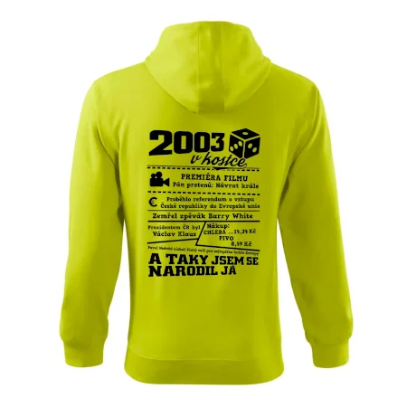 2003 v kostce