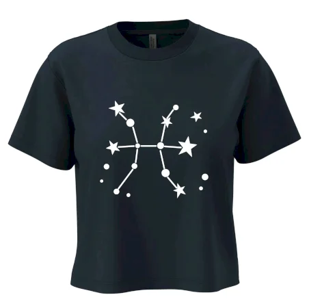 Souhvězdí - Pisces - Ryby