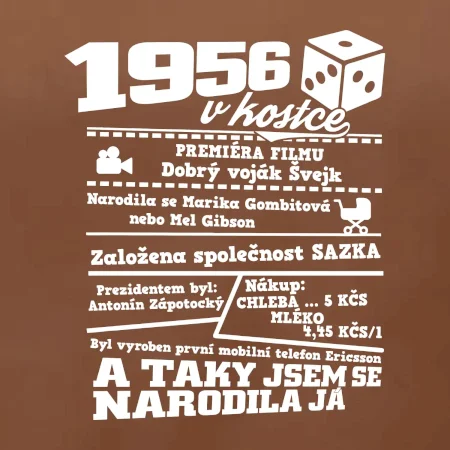 1956 v kostce