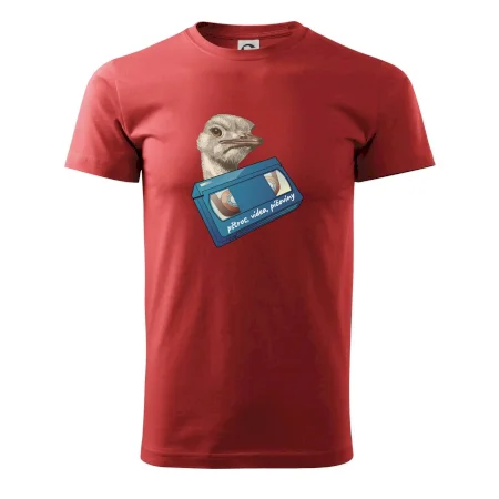 Pštrosi vídea