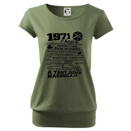 1971 v kostce