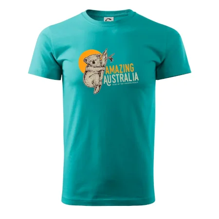 Amazing Australia koala