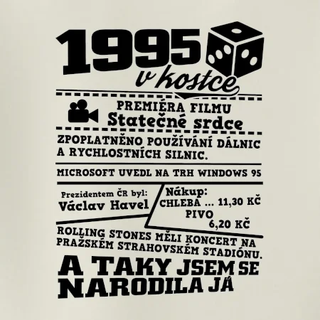 1995 v kostce