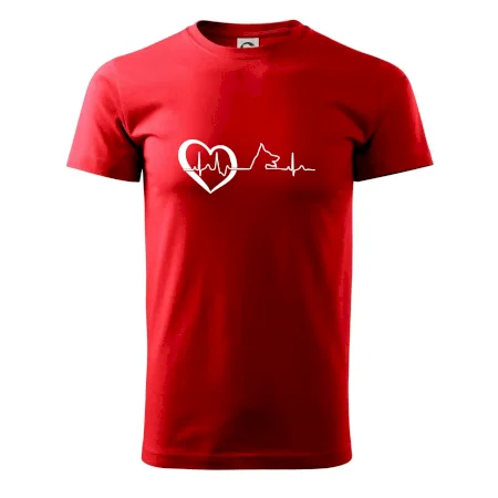 Německý ovčák ekg