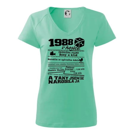 1988 v kostce