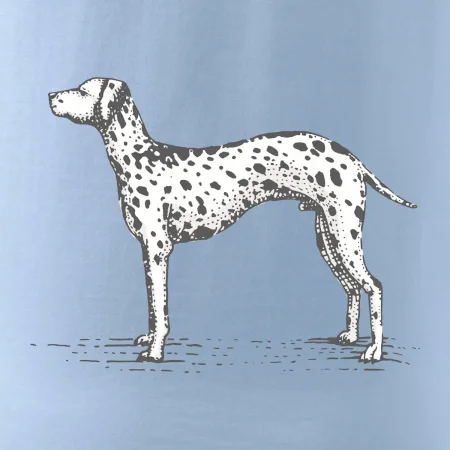 Vintage Dalmatin