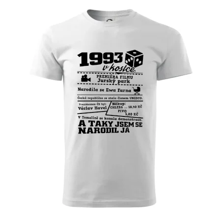 1993 v kostce