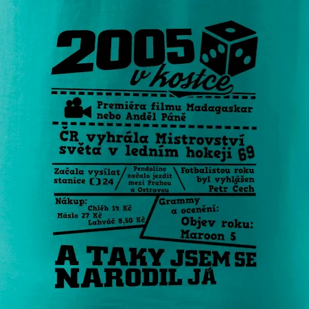 2005 v kostce