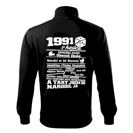1991 v kostce