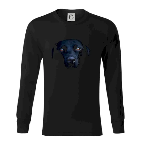 Černý Labrador fotka