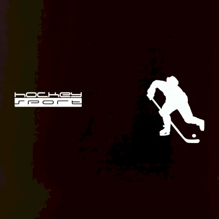 Hockey sport