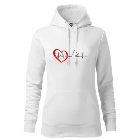 Německý ovčák ekg