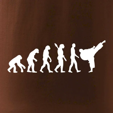 Karate Evoluce - kop