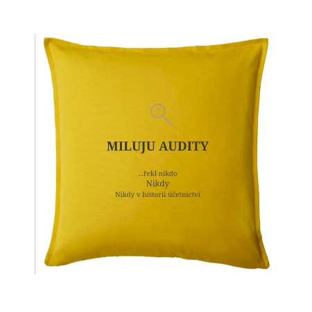 Miluju audity řekl nikdo nikdy