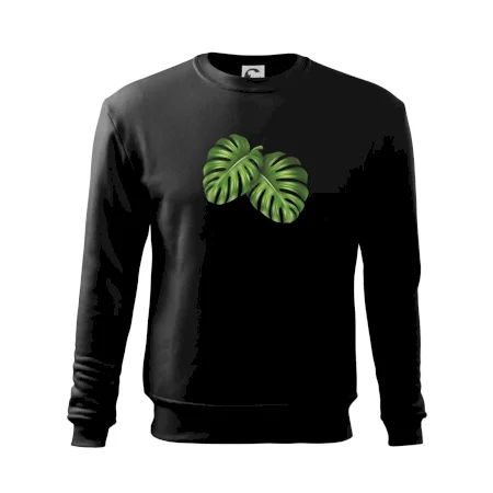 Monstera - dva listy