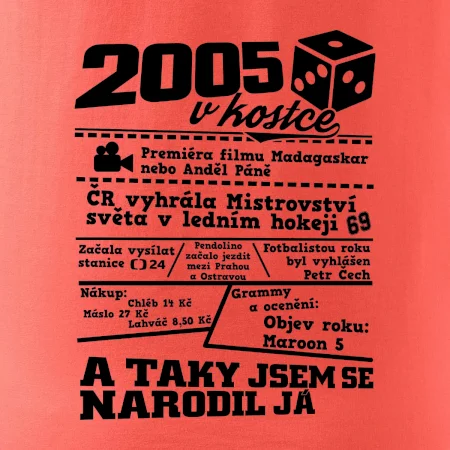 2005 v kostce