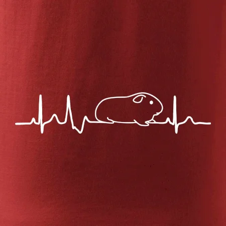 EKG morče