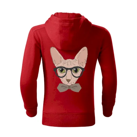 Hipster sphynx