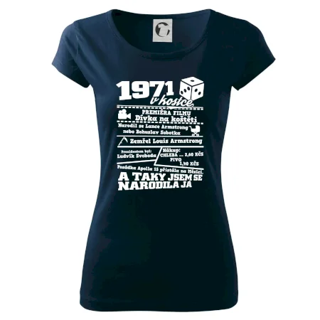 1971 v kostce