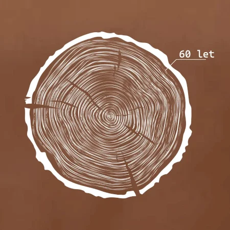 Letokruhy - 60