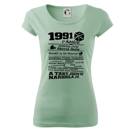 1991 v kostce