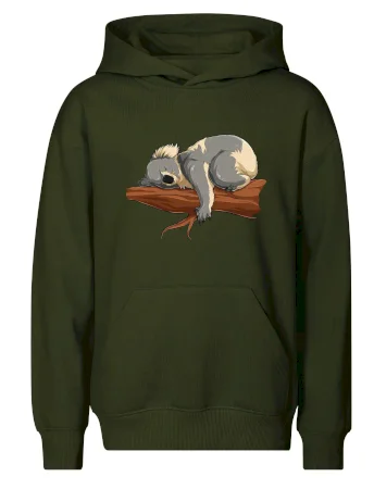 Koala na větvi