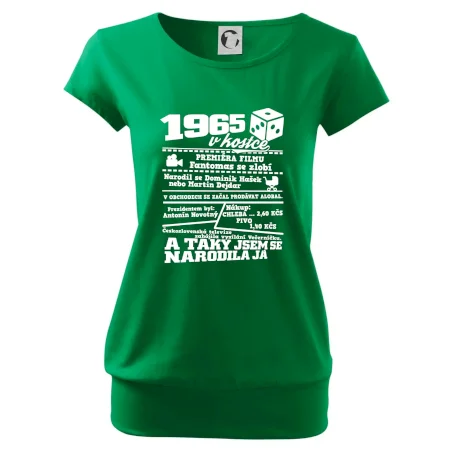 1965 v kostce