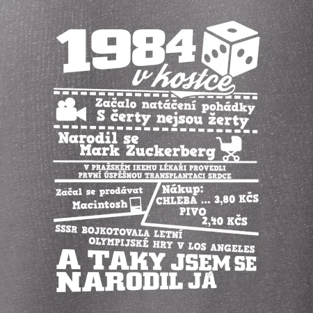 1984 v kostce