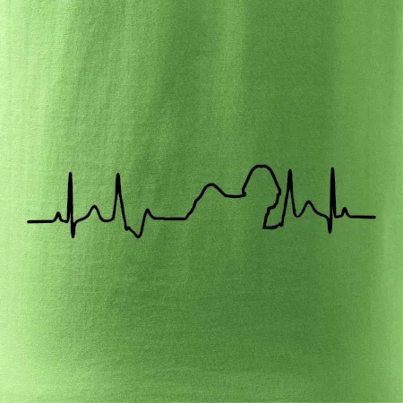 Shih-tzu ekg obrys