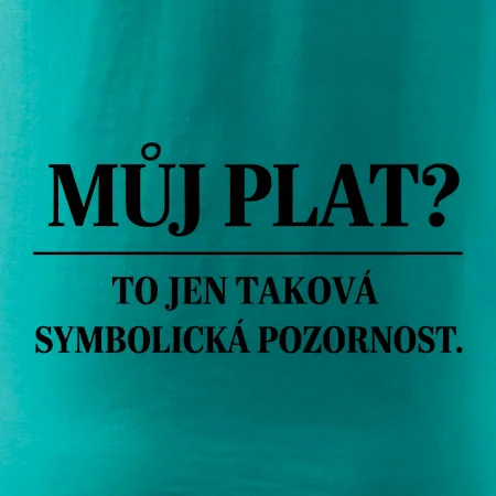 Můj plat? to jen taková symbolická pozornost