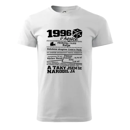 1996 v kostce