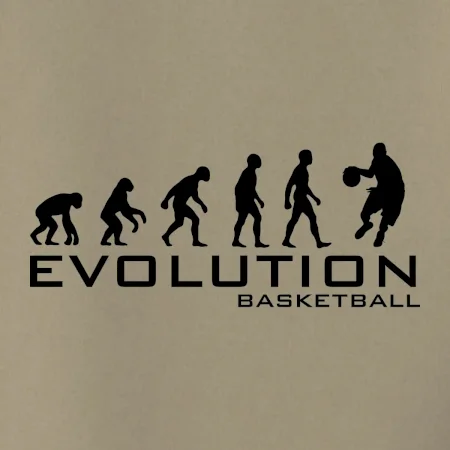 Evoluce Basketball