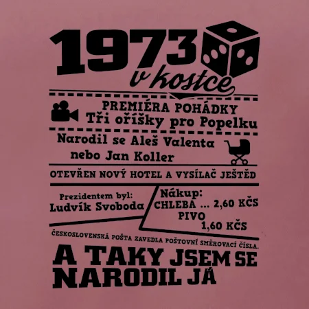 1973 v kostce