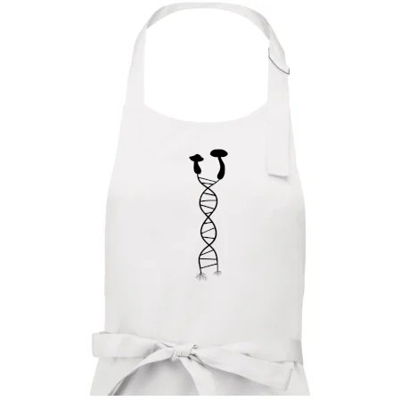 DNA houby