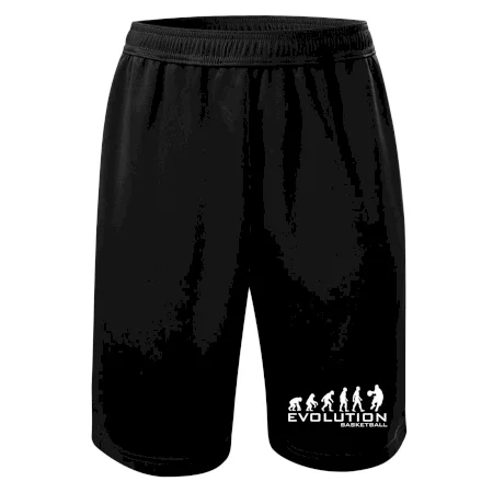 Evoluce Basketball