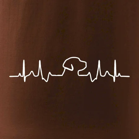 Labrador EKG