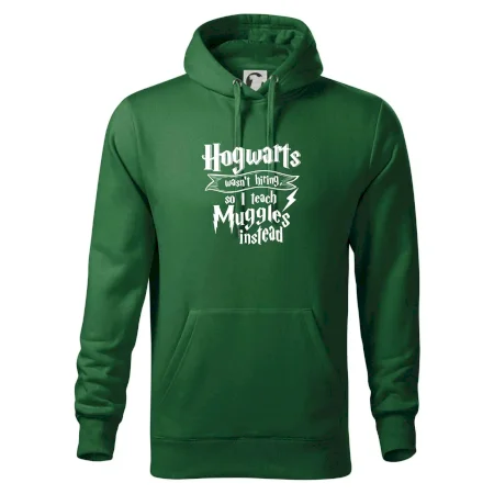 Harry - Hogwarts wasn’t hiring, so I teach Muggles instead