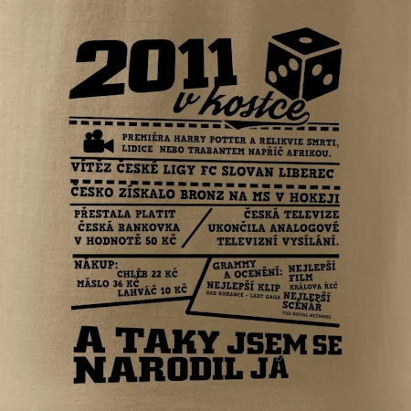 2011 v kostce
