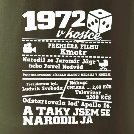 1972 v kostce