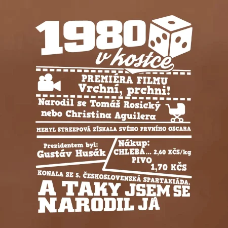 1980 v kostce