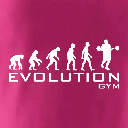 Evoluce Gym